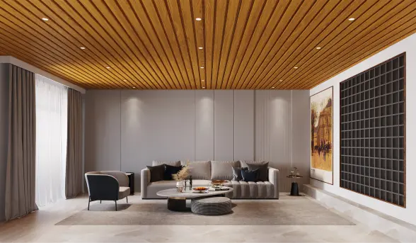 Ceiling Panels